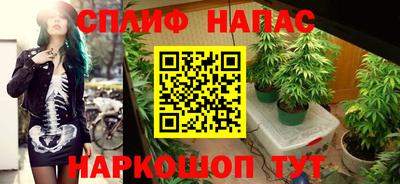 спиды Донецк