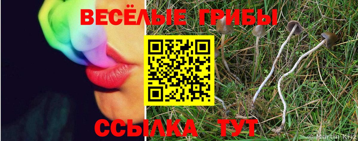Псилоцибиновые грибы Cubensis  Вход с VPN  Псилоцибиновые грибы мухоморы  Учалы 